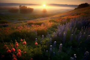 Sun-kissed fields of wildflowers photo