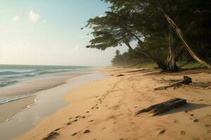 The serenity and calmness of a beach on the African photo