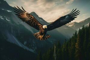 The soaring majesty of a bald eagle flying over sum photo