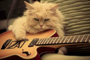 a cat with a guitar on it that says the word jazz o photo