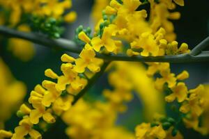 un cerca arriba de un adn estructura con amarillo flores foto