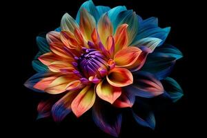 a colorful flower is displayed on a black backgro photo