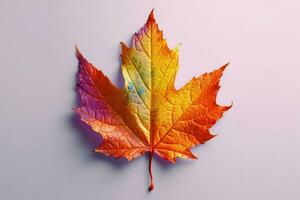 a colorful leaf that has the word autumn on it photo