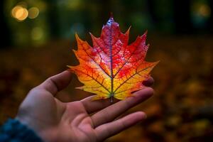 a colorful leaf that has the word autumn on it photo