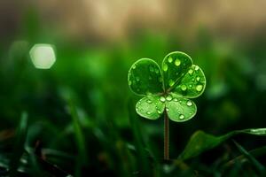 a green clover brings luck on st patricks day photo