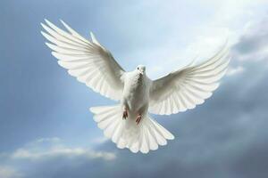 a white dove is flying in the sky with its wings sp photo