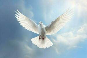 a white dove is flying in the sky with its wings sp photo