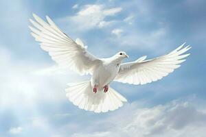 un blanco paloma es volador en el cielo con sus alas foto