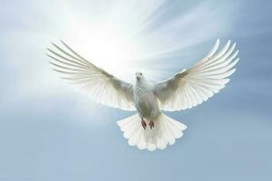 un blanco paloma es volador en el cielo con sus alas sp foto