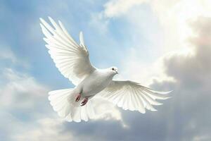 a white dove is flying in the sky with its wings sp photo