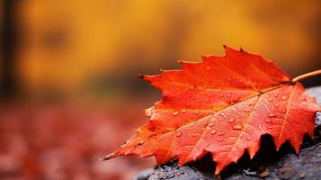 A close up photo of a reddish autumn leaf, in the style of vibrant and lively hues, vibrant stage backdrops, northwest school, gold and crimson, AI Generated.