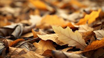 Artistic close-up of fallen leaves forming a natural pattern on the ground, providing a warm backdrop for customizable text. AI generated. photo
