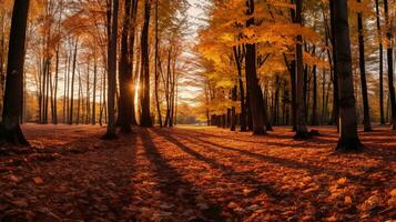 encantador otoño bosque escena con vibrante hojas tejido de alfombra el suelo, creando un vistoso tapiz. ai generado. foto