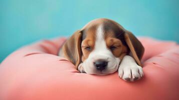 A sleepy beagle puppy curled up on a cozy cushion with space for text, its content expression set against a simple pastel background, offering an ideal area for text placement. AI generated. photo