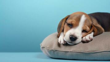 A sleepy beagle puppy curled up on a cozy cushion with space for text, its content expression set against a simple pastel background, offering an ideal area for text placement. AI generated. photo