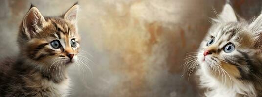 A close-up of a cute kitten's face with space for text, showcasing its whiskers and expressive eyes, against a textured background that complements its fur, with space for text. Banner, AI generated photo