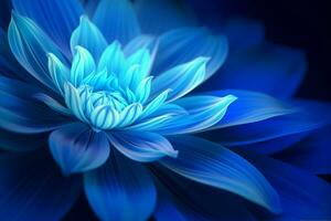 blue wallpapers that will make your desktop look bl photo