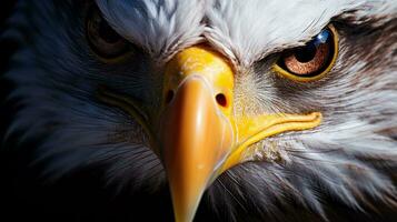 A visually captivating composition showcasing a close-up of an eagle's piercing eye against a textured backdrop. Background image, AI generated photo