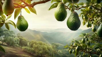 A scene showcasing an avocado orchard with ripe fruit hanging from trees, set against a textured background. Provide space for text, background image, AI generated photo