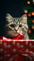 A cat peering curiously out from a Christmas gift box with space for text, vertical format, background image, generative AI photo