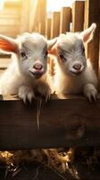 A close-up of adorable baby goats in a pen, with textured wooden fencing and space for text, vertical format, background image, generative AI photo