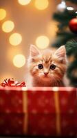 A cat peering curiously out from a Christmas gift box with space for text, vertical format, background image, generative AI photo