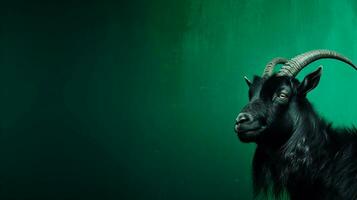 a black goat on a green textured background with space for text on the side, background image, generative AI photo