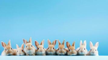 cute baby bunnies on a light blue background with space for text, background image, generative AI photo
