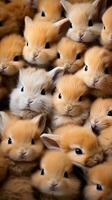 cute bunnies identical cute bunnies playing together and squeezing each other and squinting, vertical format, background image, generative AI photo