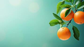 oranges with a branch on a light green background with space for text on the side, background image, generative AI photo