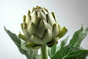 close - up white minimalist background realistic a photo