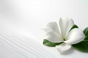 close - up white minimalist background realistic a photo