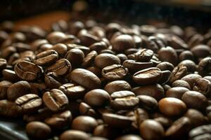 coffee beans roasted photo