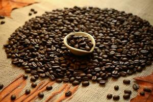 coffee beans image hd photo