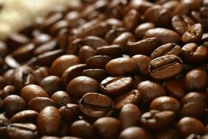 coffee beans roasted photo