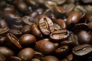 A coffee beans photo