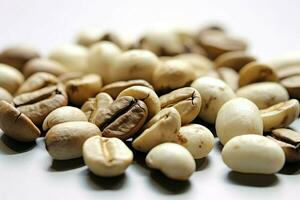 coffee beans white photo