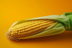 corn image hd photo