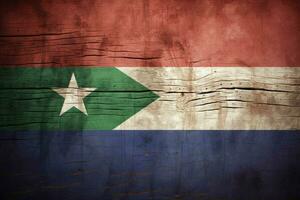 flag wallpaper of Gambia The photo