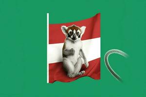 flag wallpaper of Madagascar photo