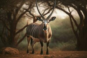 nacional animal de Kenia foto