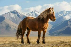 national animal of Kyrgyzstan photo