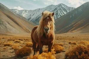 national animal of Kyrgyzstan photo