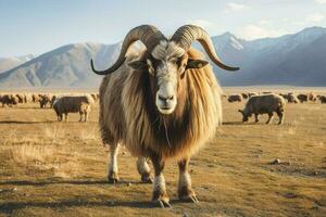 national animal of Kyrgyzstan photo