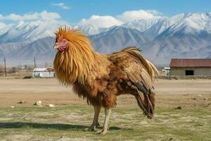 national animal of Kyrgyzstan photo