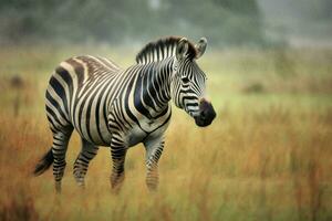 nacional animal de Tanzania foto