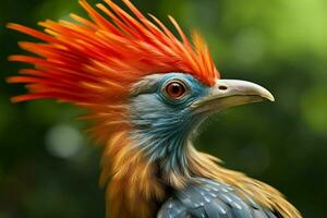 national animal of Trinidad and Tobago photo