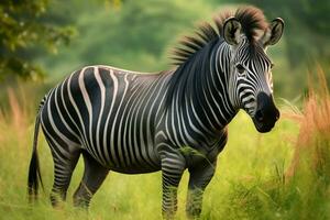 national animal of Uganda photo