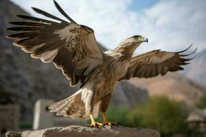 national bird of Tajikistan photo