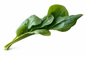 photo of Spinach with no background